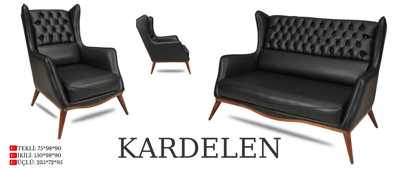 KARDELEN OTURMA GRUBU (OFFX SERS)